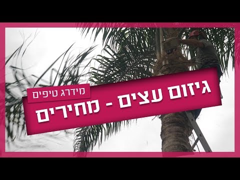 וִידֵאוֹ: תיקון גוזמי בנזין: תקלות של גוזמי בנזין וכיצד לתקן אותם במו ידיכם. מדוע הוא ממלא נר על חותך מכחול?