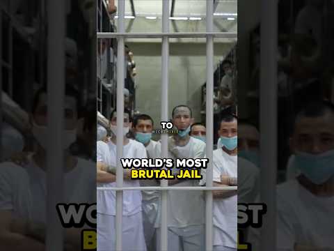 The World’s Most Brutal Jail