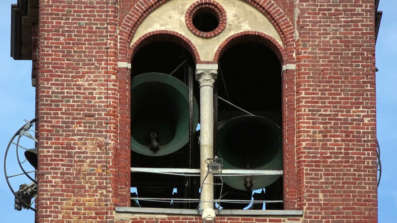 Звон девяти колоколов ля мажор главной церкви Бусто Арсицио (Италия)