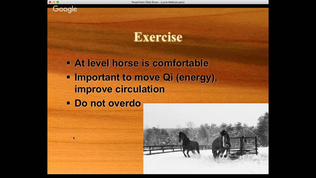 Lyme Disease in the Equine, Part II YouTube