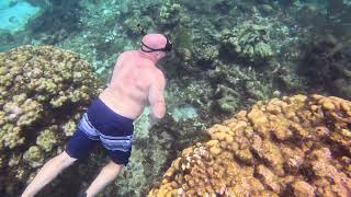 Rum Point Grand Cayman Snorkeling