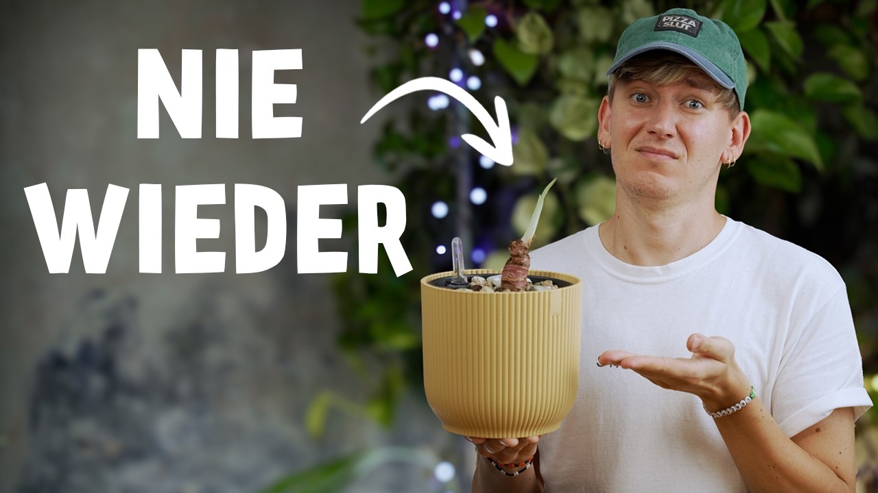 Diese TOP 10 Alocasia Pflegetipps verrät dir NIEMAND 😱 (Elefantenohr)