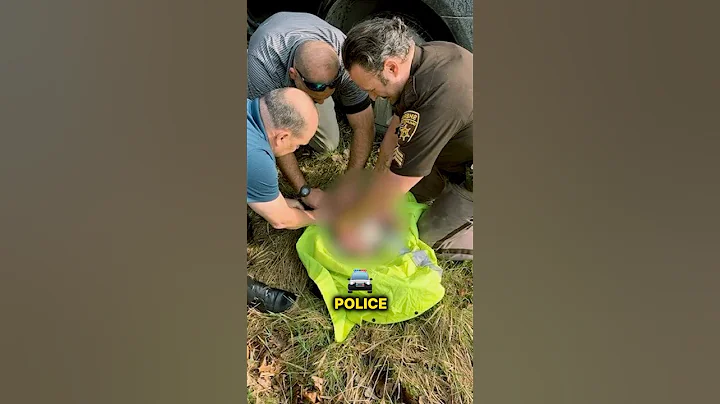 Treasure Hunter Found Something Shocking in Nevada Forest😳