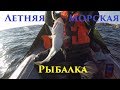 ЛЕТОМ В МОРЕ РЫБА ЕСТЬ / Summer Sea Fishing