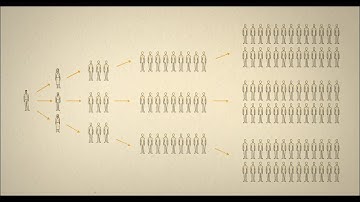 Câu Chuyện về Vi-rút Corona · Phần 1  |  The Story of Coronavirus · Part 1 (Vietnamese)