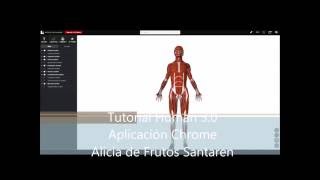 Tutorial Human 3 0