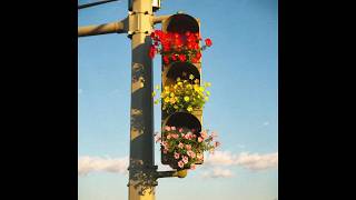 Download lagu (free) Clairo x Rex Orange County Type Beat 'can't slow down'[indie pop]