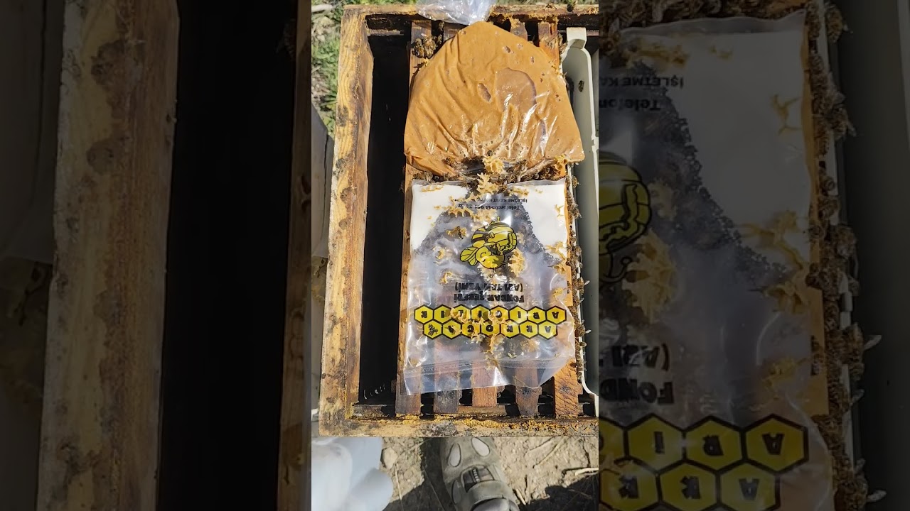 Kış Kaybı Yaşamak Zorunda mıyız (1)