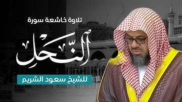 سورة النحل بتلاوة خاشعة من صلاة القيام لعام 1417 | الشيخ سعود الشريم
