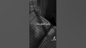 #السعودية #اكسبلور #تلاوة_خاشعة #لايك #المصحف #القرآن_الكريم #حالات_واتس #شورت #تيك_توك