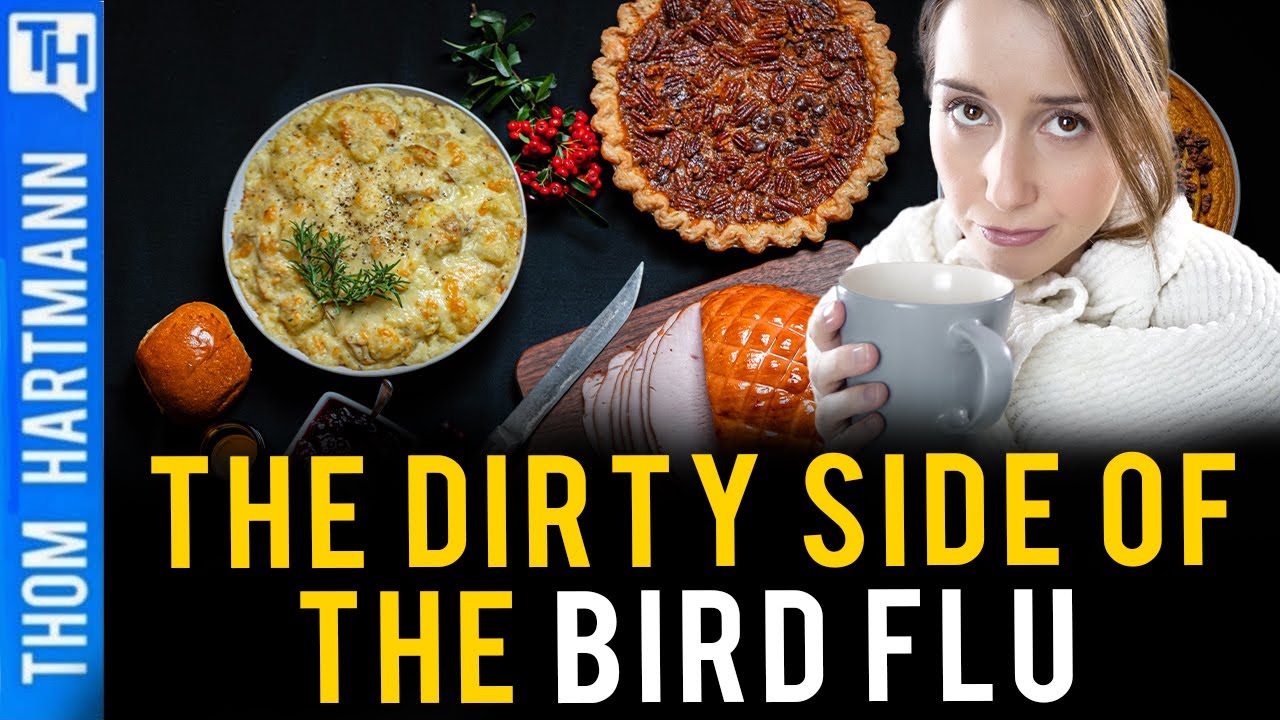 The Sickening Cause of Bird Flu Factory Farms Don’t Want You to See