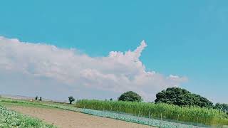 Blue sky view.#youtube #bluesky #nature 