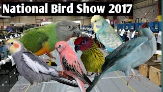 Canadian National Bird Show 2017 | Hookbills and Judging