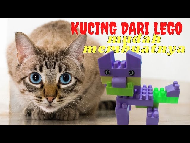 Cara Membuat Mainan Anak Anak Lego lego Hewan Bikin Buat Binatang Kucing Dari Lego Block class=