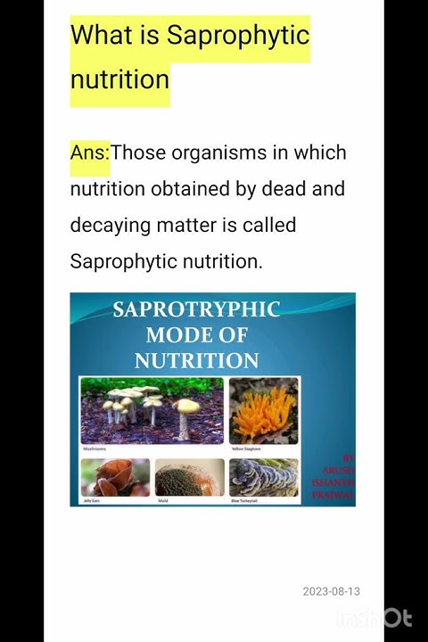 What Is Saprophytic Nutrition Class 10 Bio Chapter 1 YouTube what-is-saprophytic-nutrition-class-10-bio-chapter-1-youtube