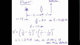 PHY132 Fall 2010 Test 1 Question 6