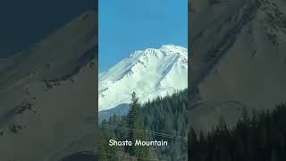 Shasta Mountain