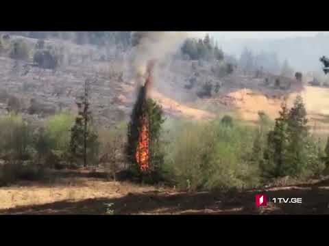 ხანძარი დაბა ლაითურში