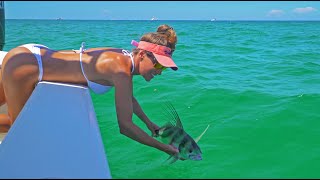 Inshore Fishing For Roosterfish