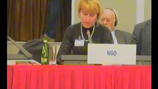 Working Session 11: Rights of Persons Belonging to National Minorities