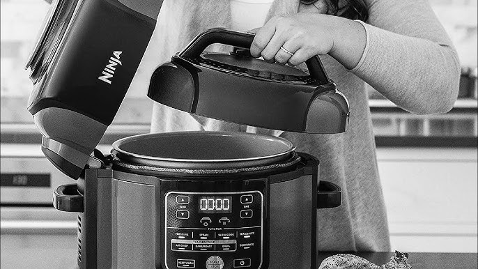 Ninja Instant Cooker Review - A 2023 Deep Dive - Southern Plate