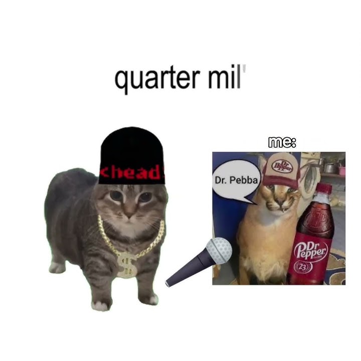 We can go Uia. #fypviralシ #capcut #memes #fyp #trendingshorts #trend #shorts #uia #cat