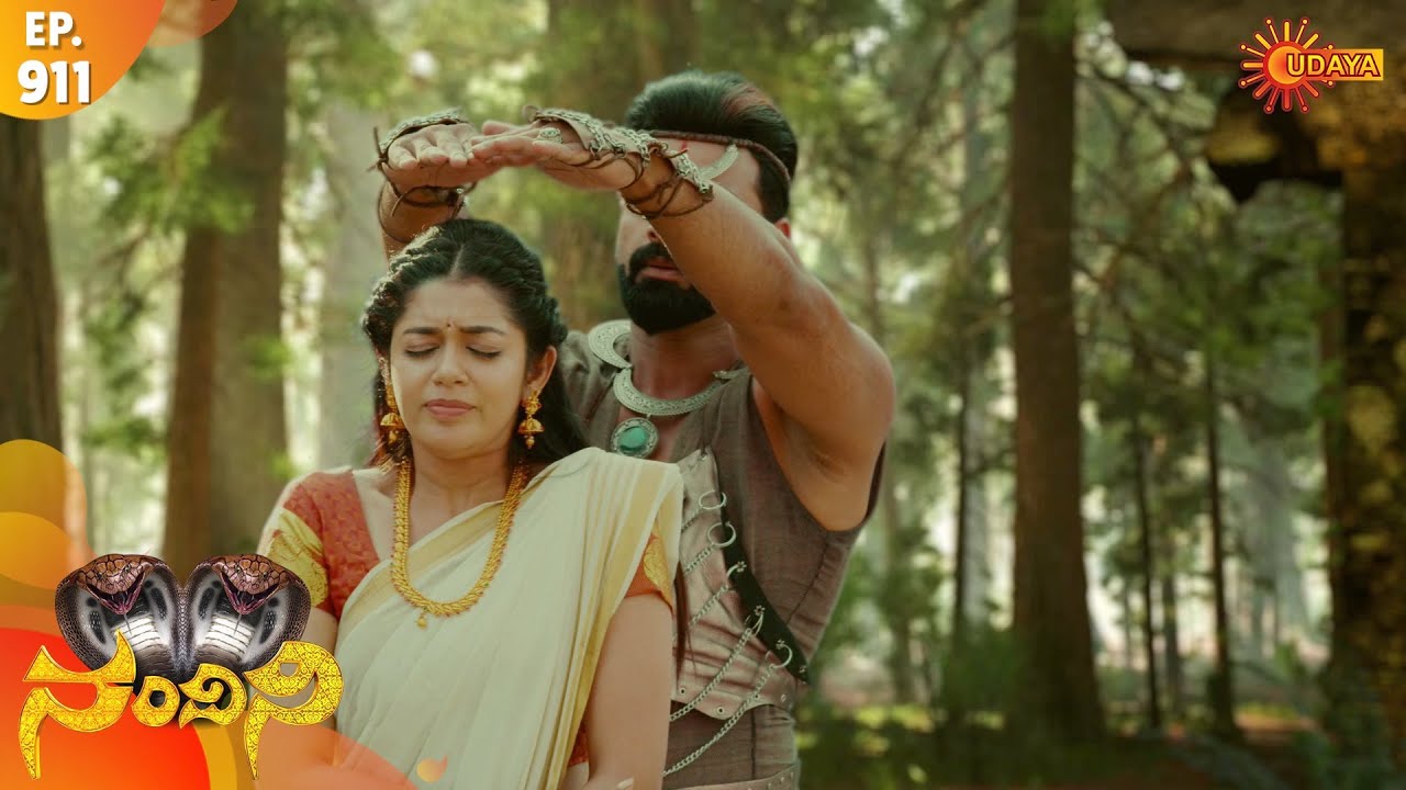 Nandini - Episode 911 | 24th Feb 2020 | Udaya TV Serial | Kannada Serial