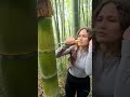 The GIRL's skills are AMAZING 🔪🎋🌍 #camping #survival #bushcraft #outdoors #lifehacks