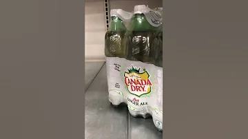 Diet Canada Dry Is One Of My Favorite Drink You Should Try This 