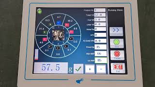 10 Head Cheese Multihead Weigher Packaging Machine With Horizontal Conveyor