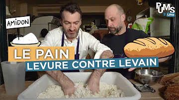 Est-ce que le pain au levain contient du gluten ?