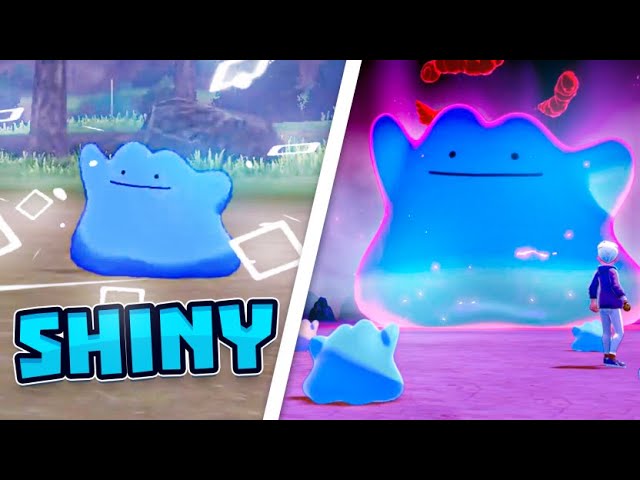 Shiny Ditto 