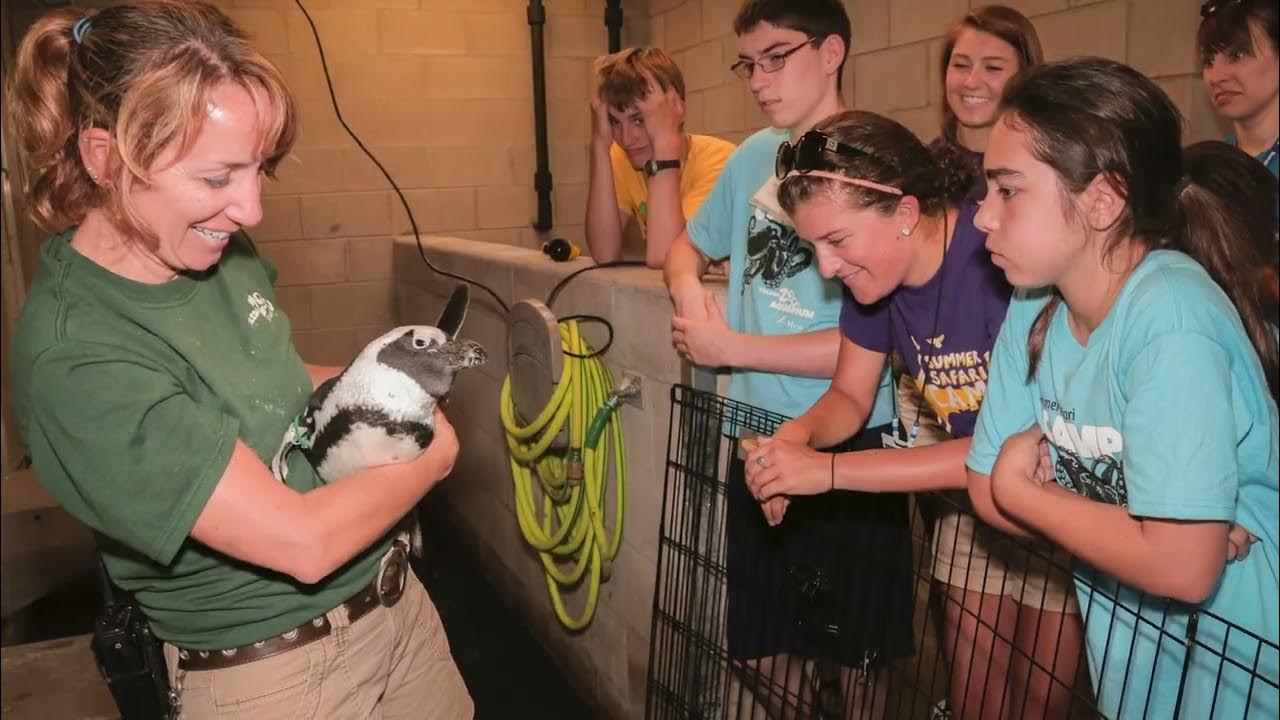 Toledo Zoo Summer Camp 2024 YouTube