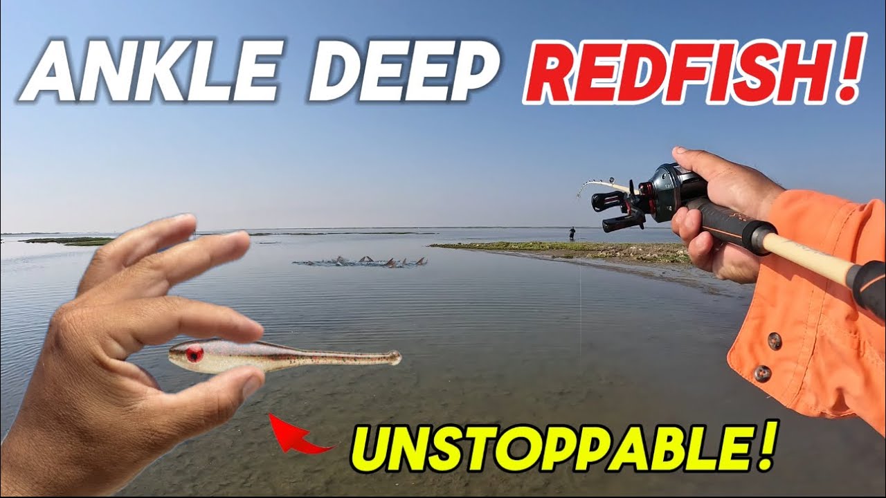 These FISH were so SHALLOW I Used This SPECIAL LURE to catch them ( LAGUNA MADRE)