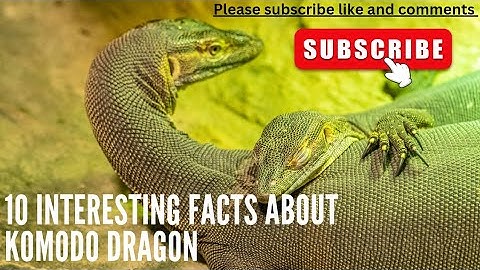 10 interesting facts about Komodo dragon!!