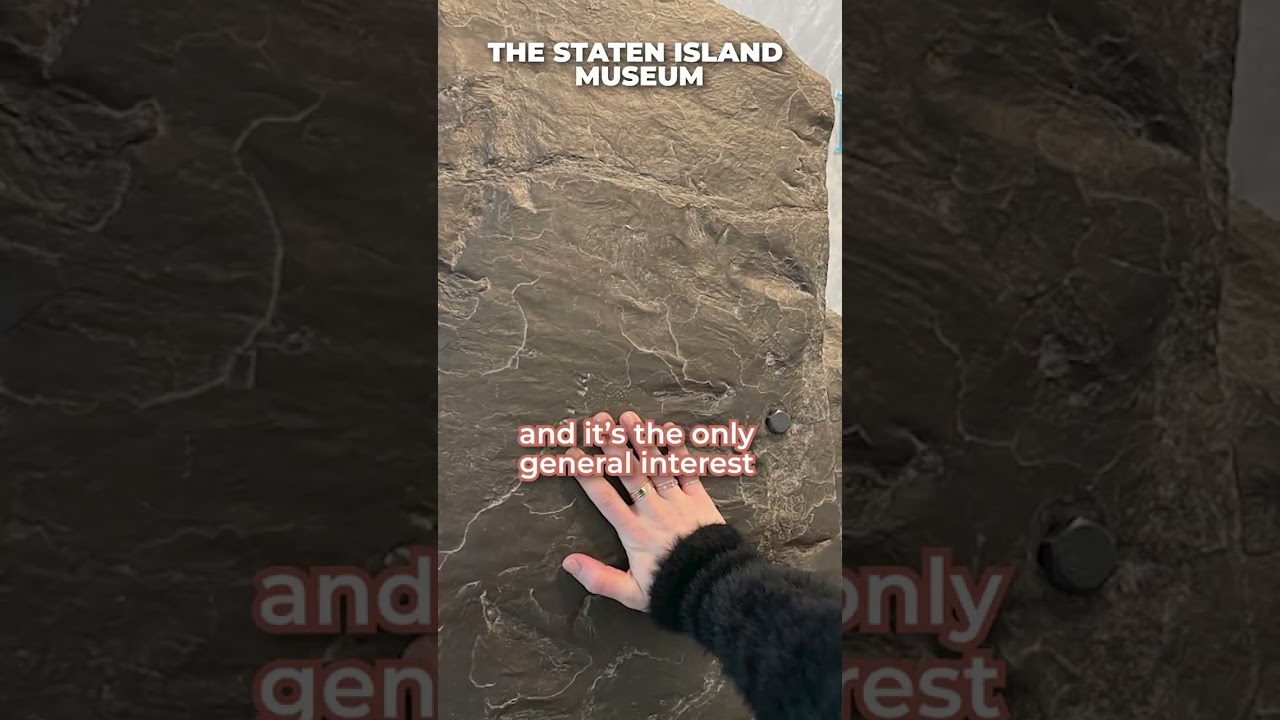 NYC's "FORGOTTEN BOROUGH" 