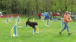 Kemphosch 12/04/2026 Nora jumping