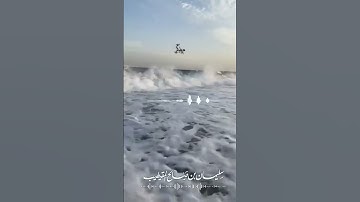 (ألا بذكر الله تطمئن القلوب) تلاوة مختارة من سورة الرعد