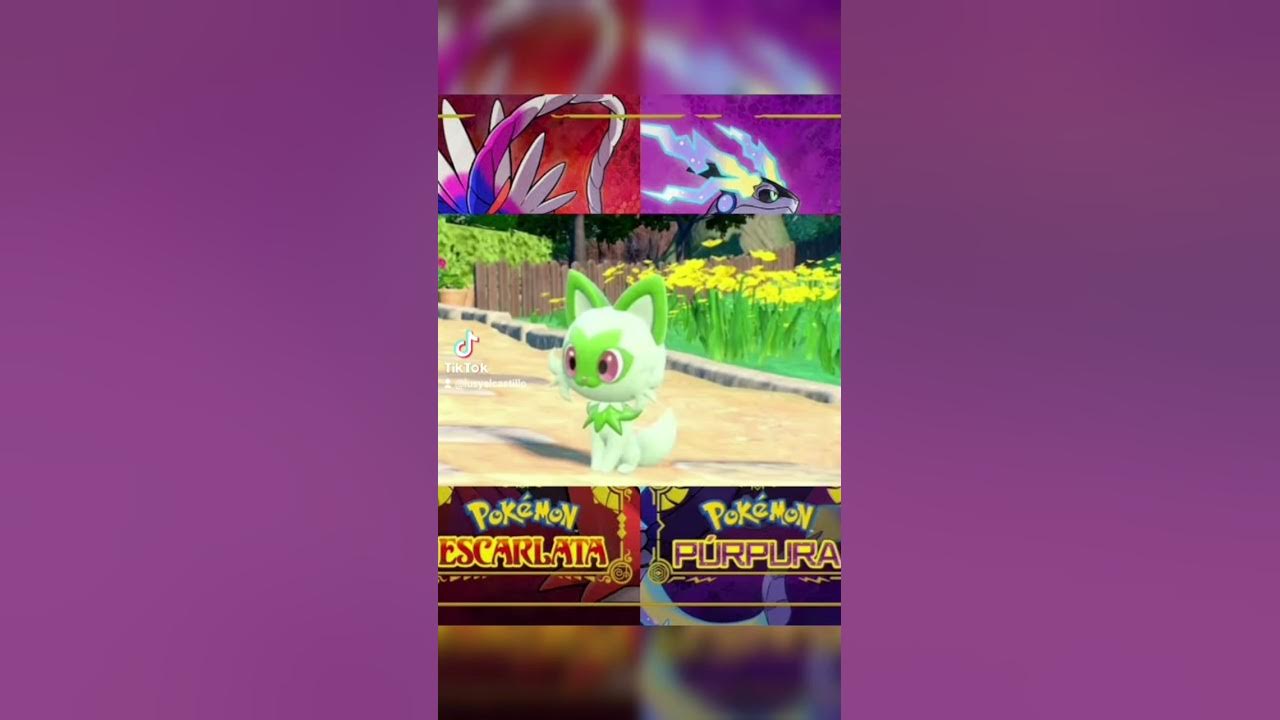 X 上的 Pokémon España：「Presentamos a Sprigatito, el caprichoso Pokémon Gato  Planta que adora ser el centro de atención. 🍃🐾 ¿Elegirás a Sprigatito en Pokémon  Escarlata y Pokémon Púrpura? ❤️💜 #EscarlataPurpura   /