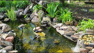 Our First Koi Pond (before we extended it into a swim pond)