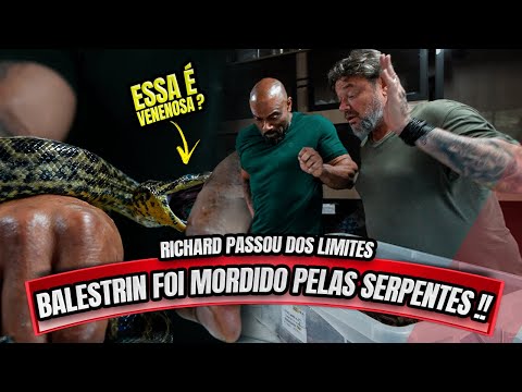 BALESTRIN WAS BITTEN BY SNAKES - RICHARD APPEALED THIS TIME!