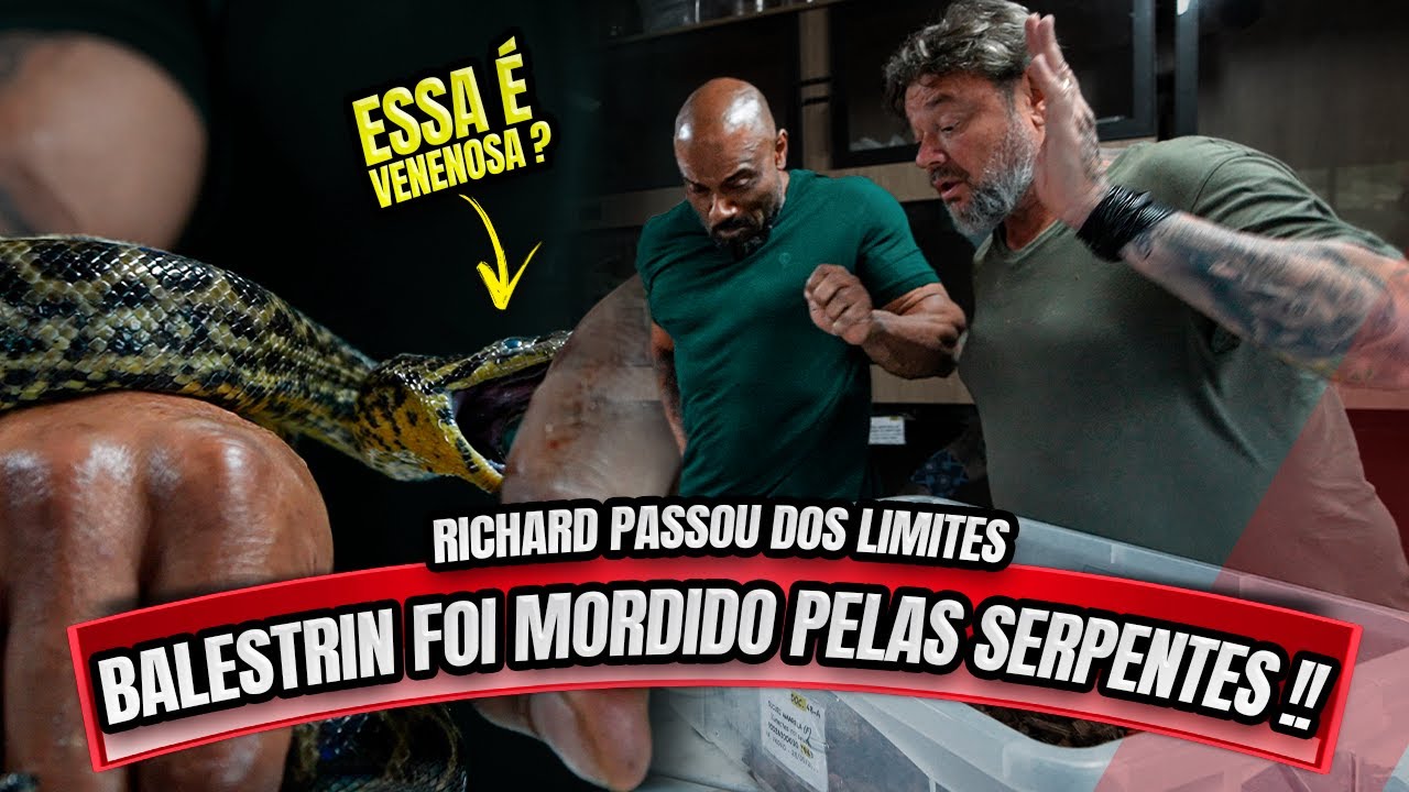 BALESTRIN FOI MORDIDO POR SERPRENTES - RICHARD APELOU DESSA VEZ !