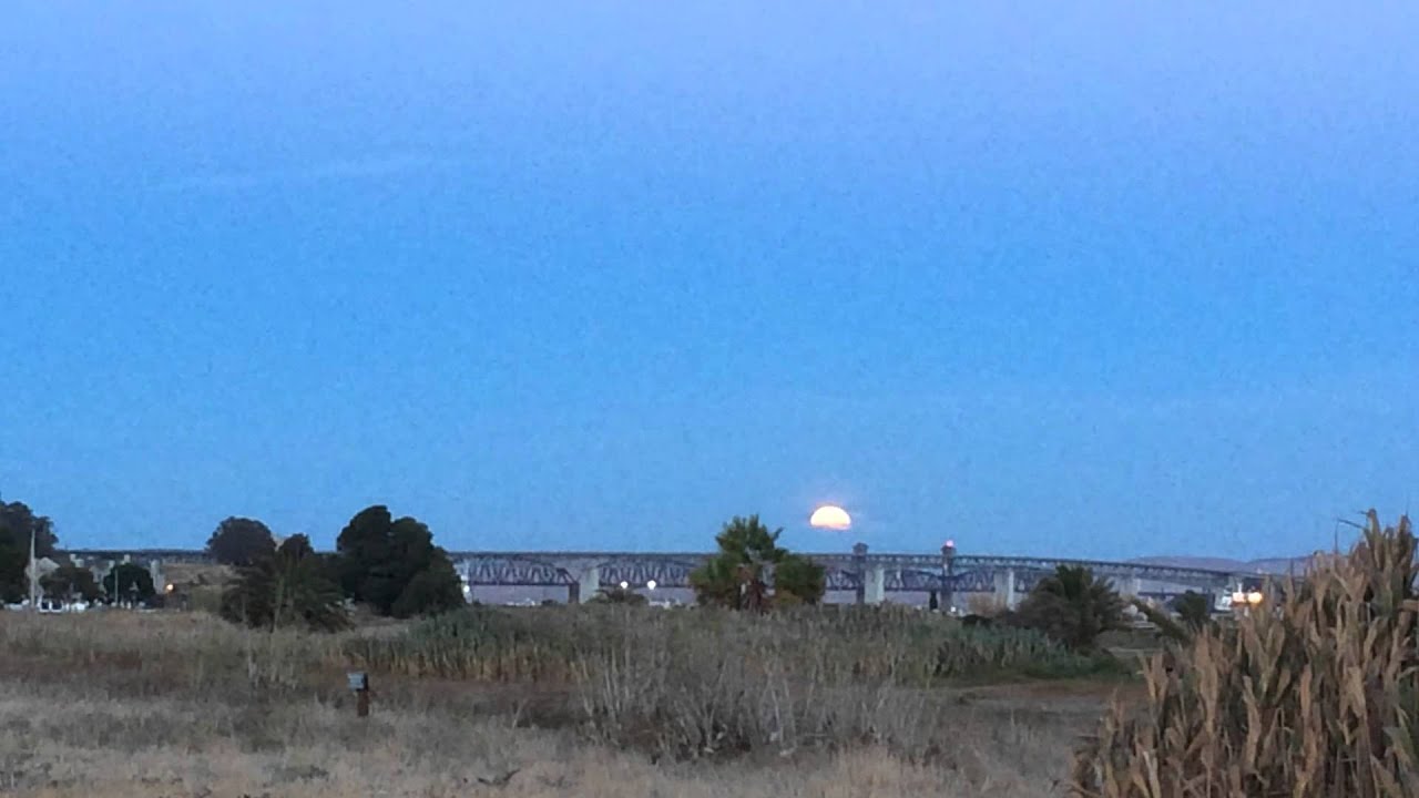 Moonrise take 2 with photo bomb