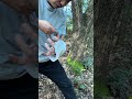 Arm Fracture? Fix It with Grass & Tape! #WildernessSurvival #FirstAid #BrokenArm #OutdoorSkills