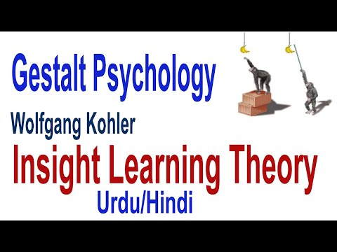 What Is Insight Learning | Cognitive Learning Theory By Kohler| Gestalt Psychology | Urdu/Hindi