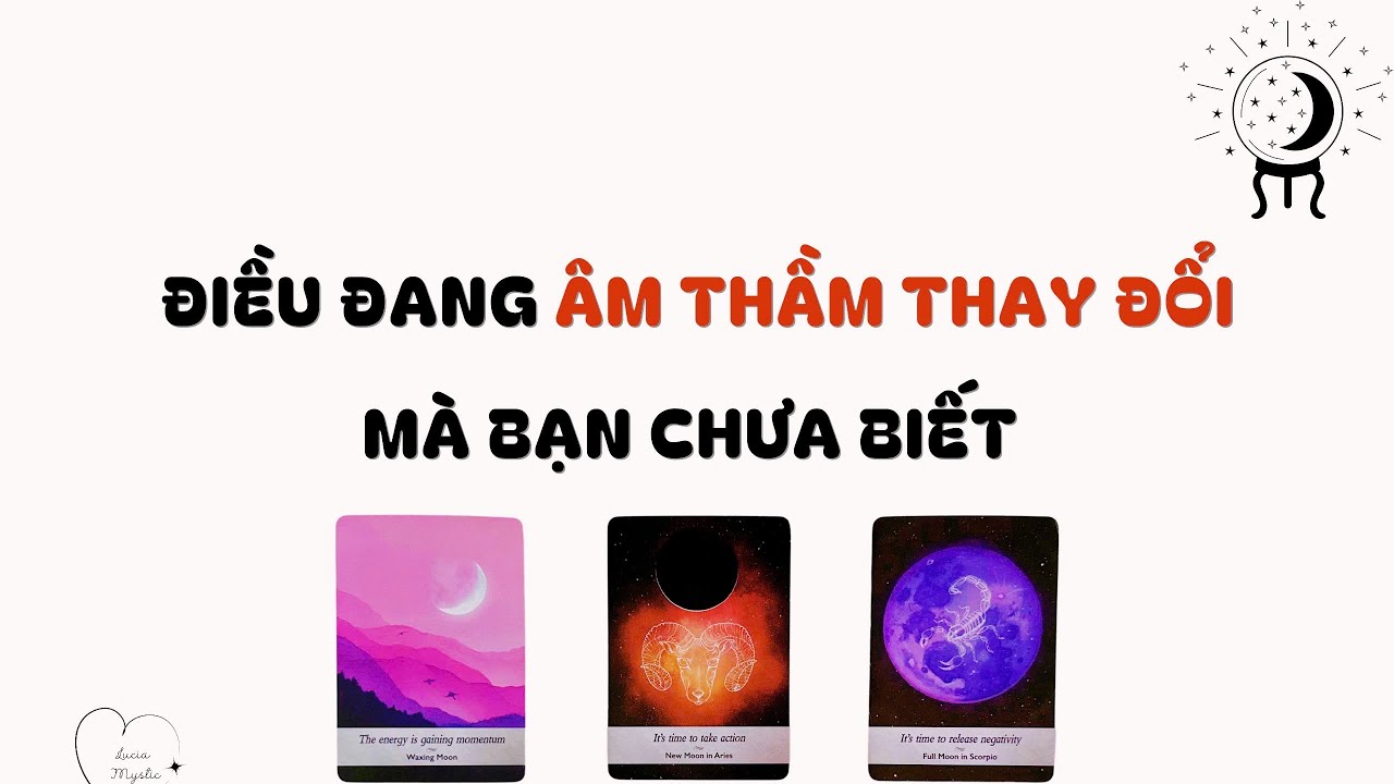 Điều đang âm thầm thay đổi mà bạn chưa biết 🌱🌿🌵- Chọn tụ bài (Timeless)