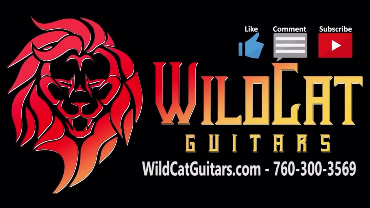 Fender Custom Shop at WildCat Guitars