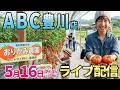 一撃30000発&エンディング‼️【リコリコ】久しぶりの愛知県♪トマトのように経営も真っ赤にしてしまう1日 ︎#パチンコ #パチスロ #shorts