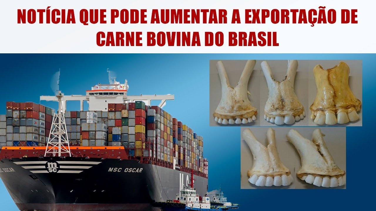 Revogação da Desabilitação por Cronologia Dentária para Animais de Lista Trace - CONFIRA