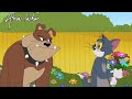 Tom And Jerry Flower Season Ep 1 Almas Laskar Tom And Jerry Flower Season Ep 1 Almas Laskar